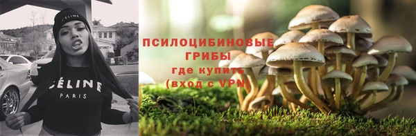 синтетический гашиш Алексеевка