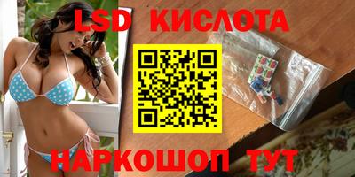 Альфа ПВП Камышлов