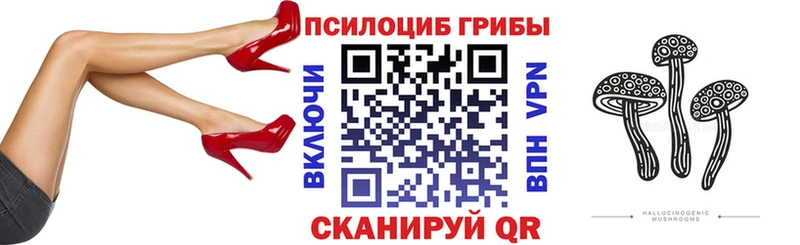 Галлюциногенные грибы Psilocybine cubensis  ОМГ ОМГ сайт  Новочебоксарск 