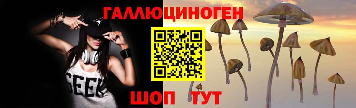 Псилоцибиновые грибы Psilocybine cubensis  Вход с VPN  Новочебоксарск 
