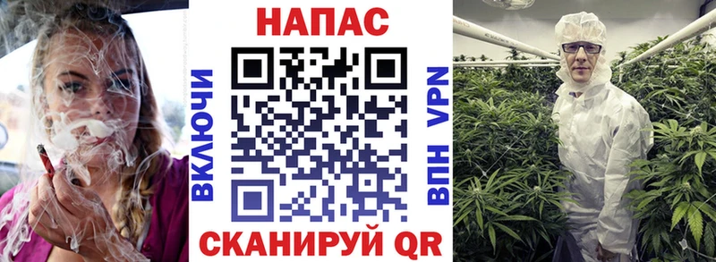 Конопля Amnesia  купить наркотик  Новочебоксарск 
